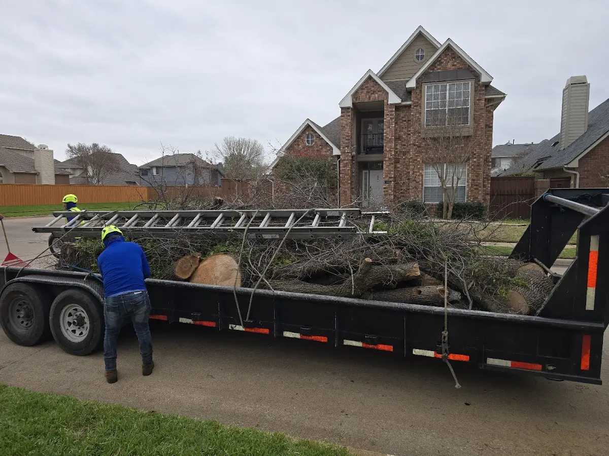 Expert Crown Reduction with proper safety equipment in East Orland